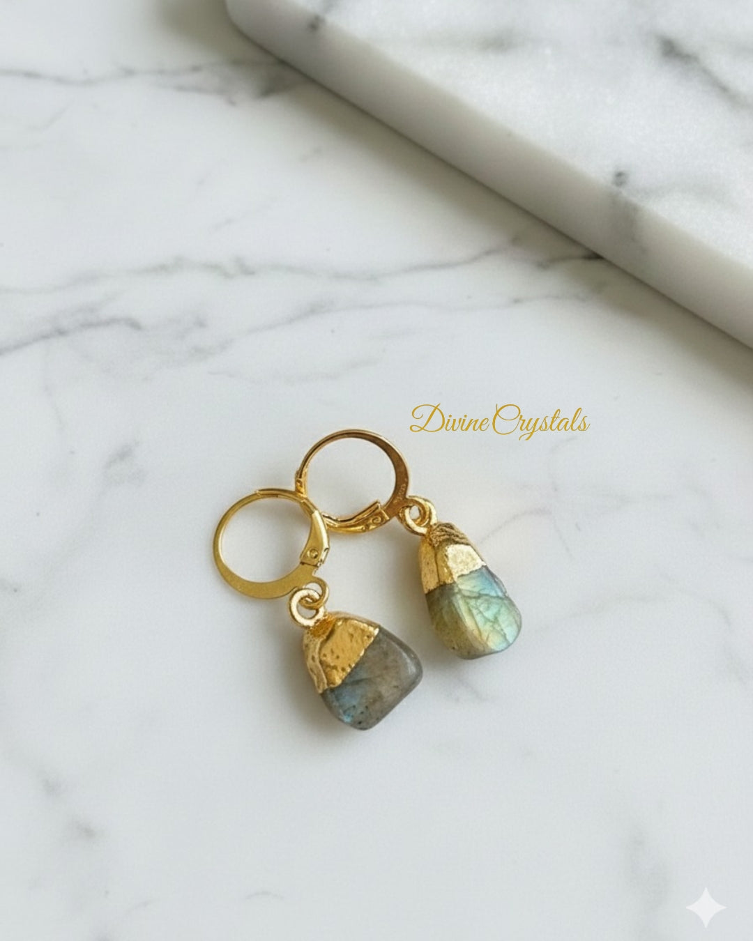 Oval Drop Earrings