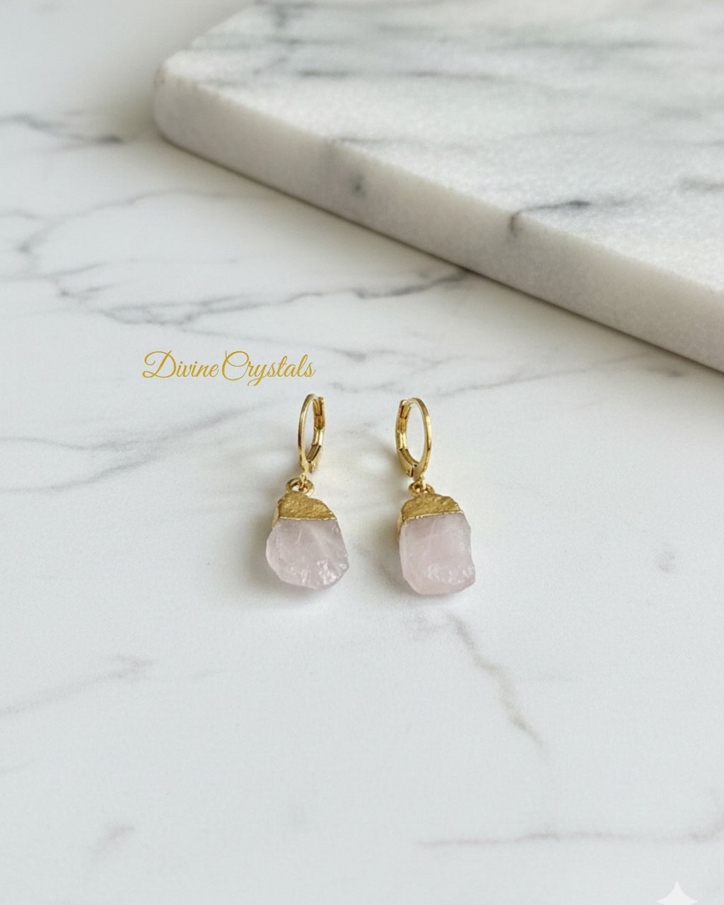 Oval Drop Earrings