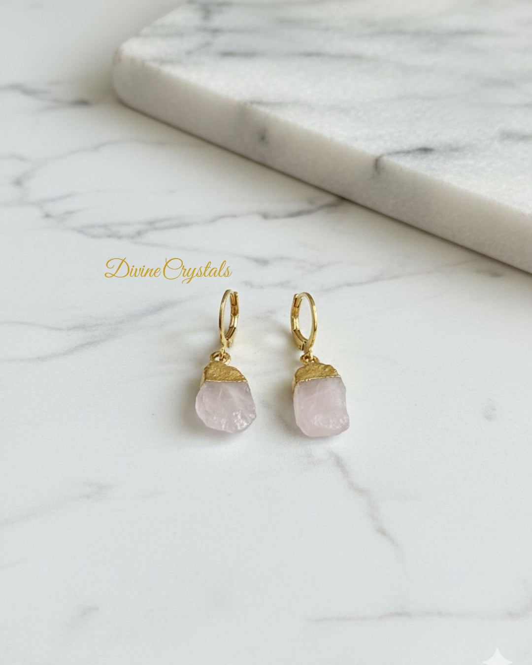 Oval Drop Earrings